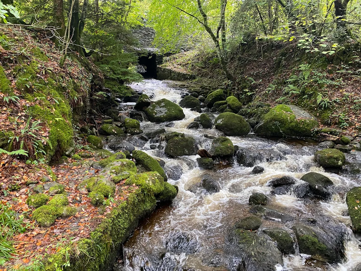 Ty'n Llwyn Walking Trail
