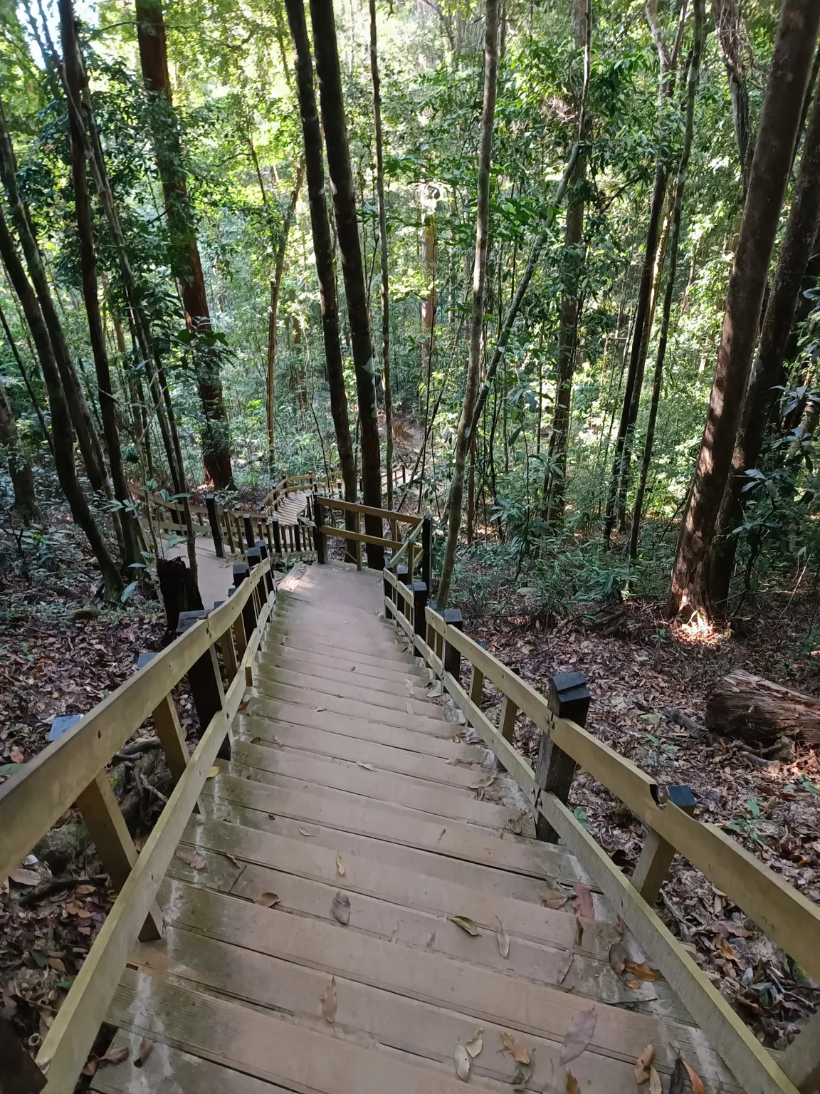 Dragon's Crest (Ngon Nak Nature Trail)