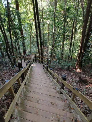 Dragon's Crest (Ngon Nak Nature Trail)