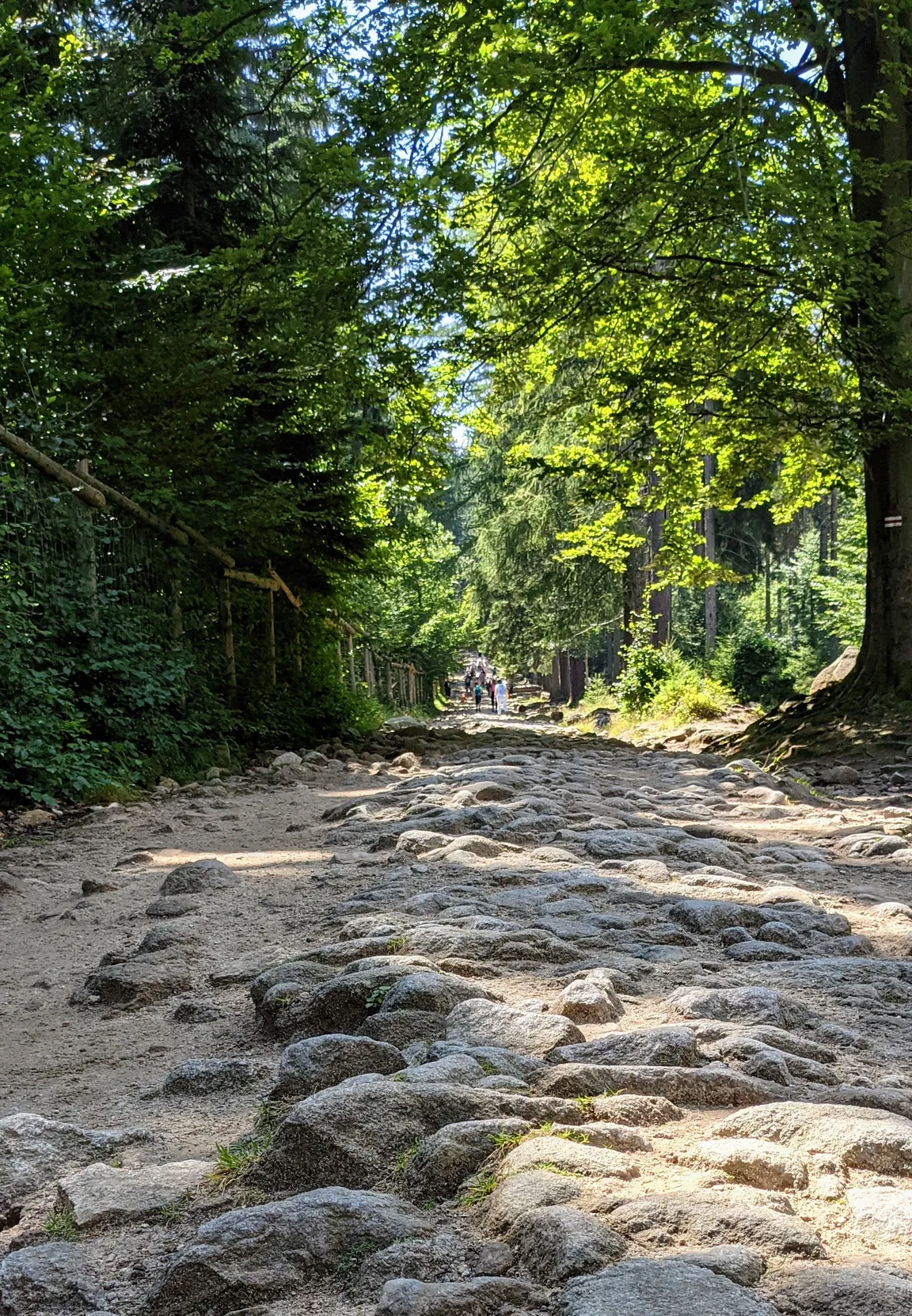 Szlak do Wodospadu Kamieńczyka