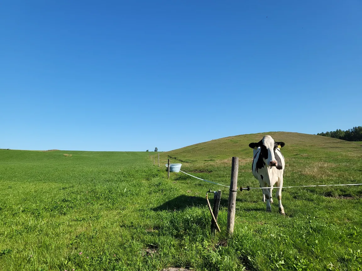 Panorama Walking Route