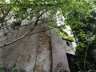 Burg Kohlstein