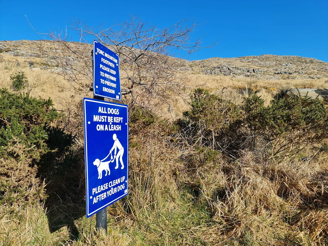 Torc Mountain