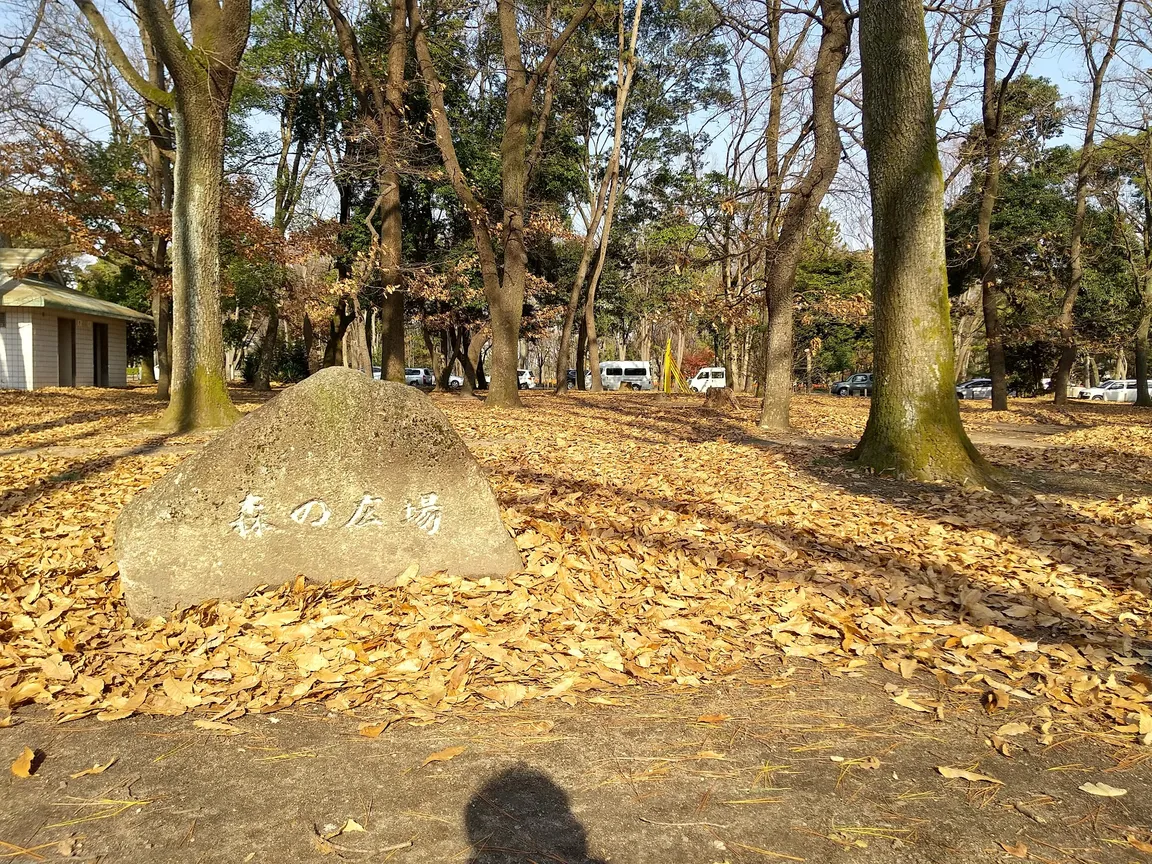 森の広場