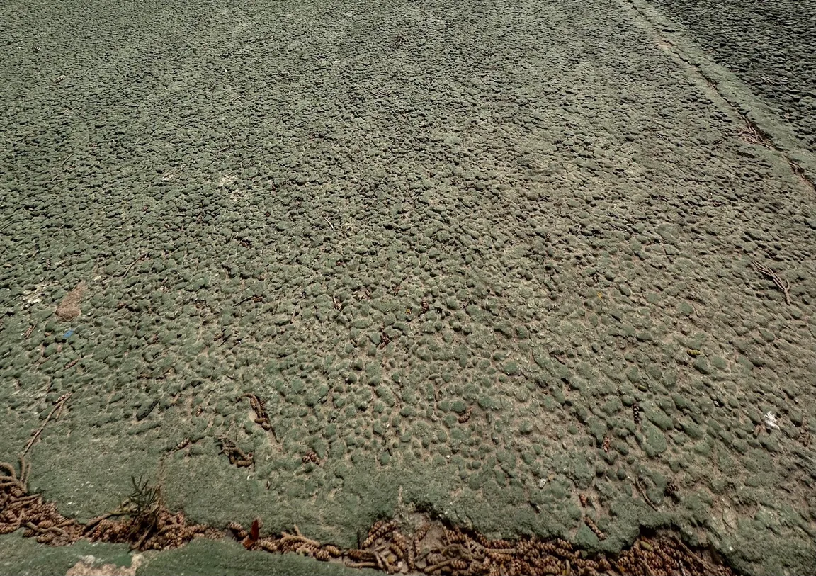 Four Seasons Pool & Spa