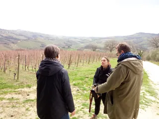 La Marca di San Michele