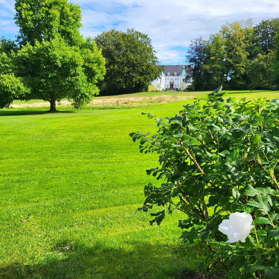 Marselisborg