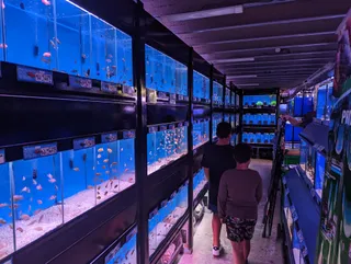 Aquarium Central