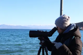 Protection and Preservation of Natural Environment in Albania