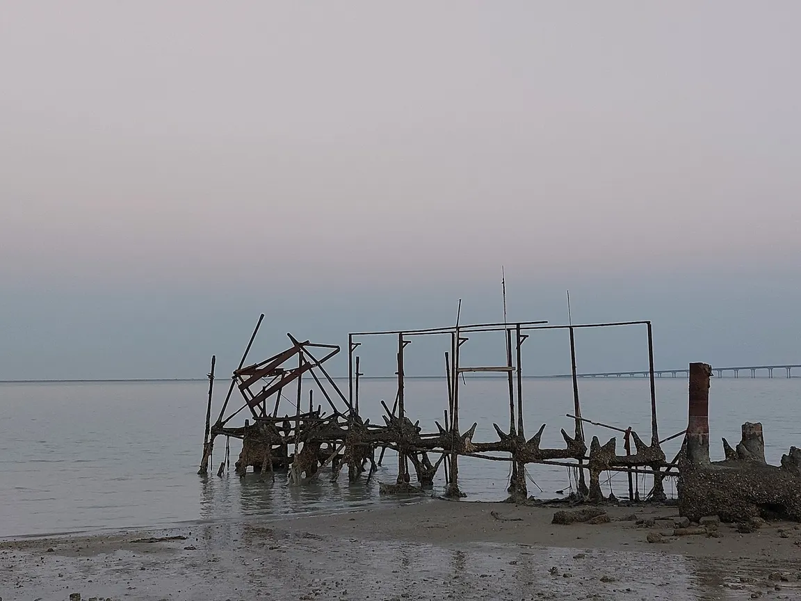 Shumaymah Beach