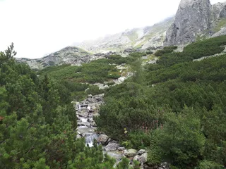 Dolina Młynicka
