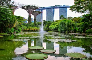 Gardens by the Bay