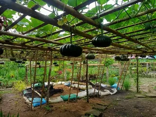 Jolit's Eco Garden Integrated Farm
