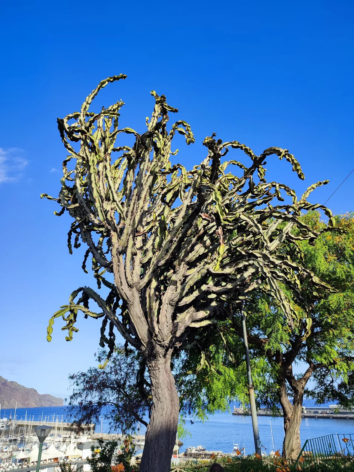 Parque de Santa Catarina