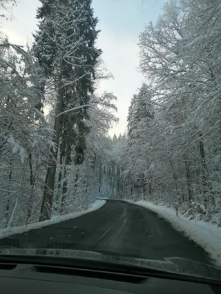 Freudenberger Rastpilz