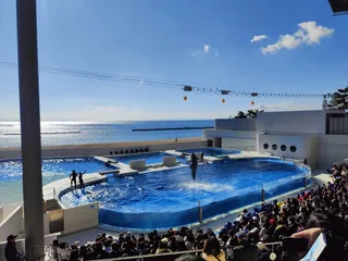 Kobe Suma Seaworld