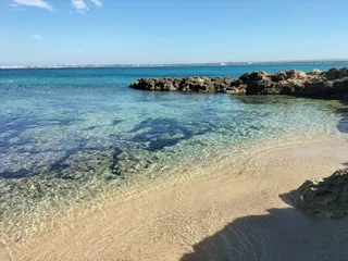 Parco Naturale Regionale Isola di Sant'Andrea e litorale di Punta Pizzo