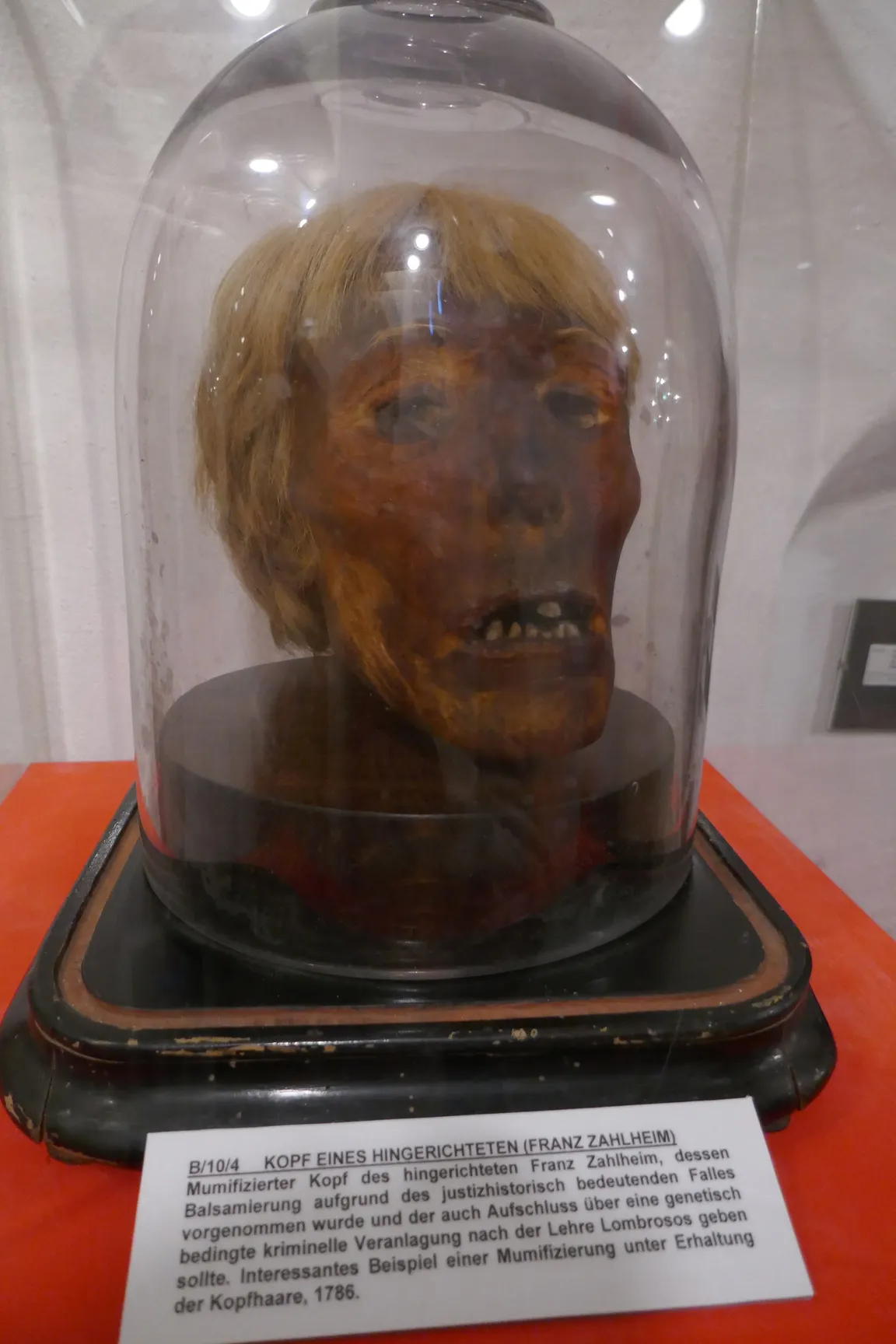 Vienna Crime Museum