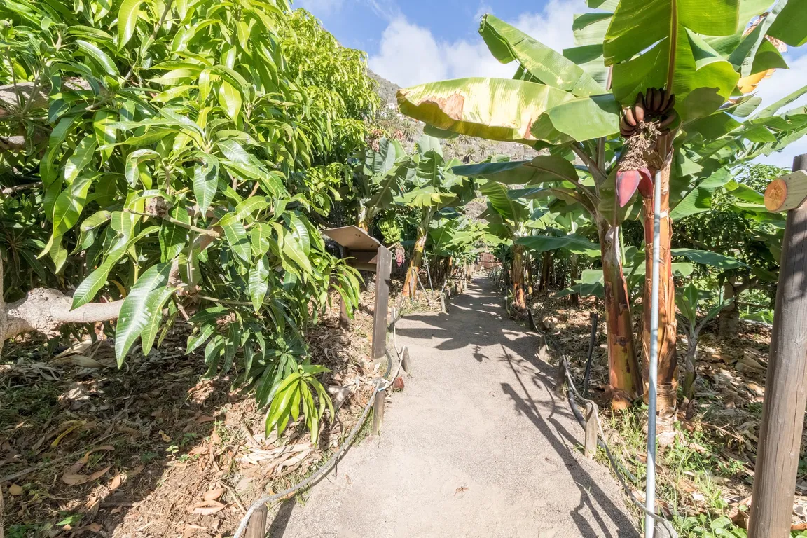 Museo PEG Los Telares, El Parque Etnográfico de La Gomera