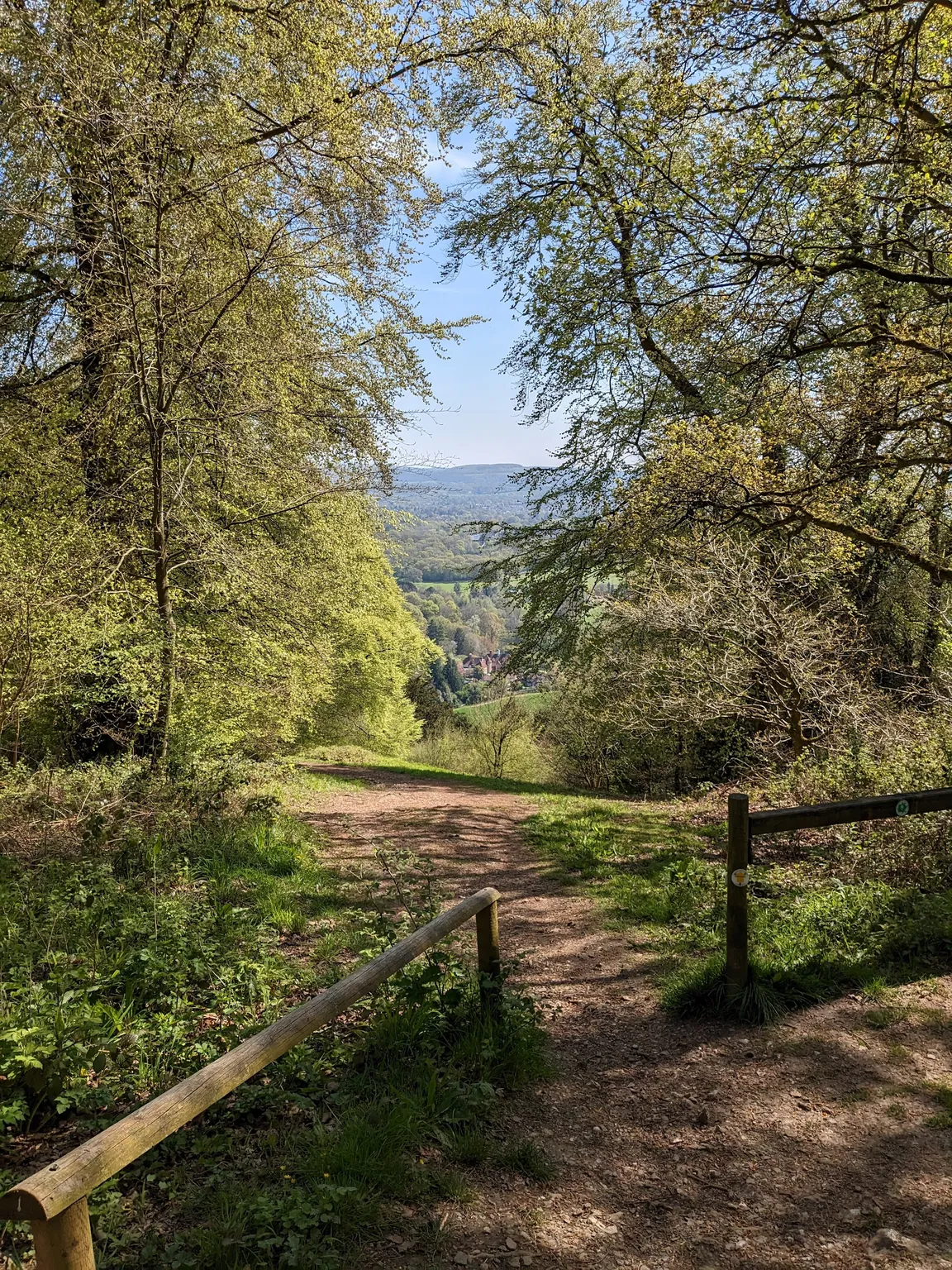 Ashford Hangers National Nature Reserve