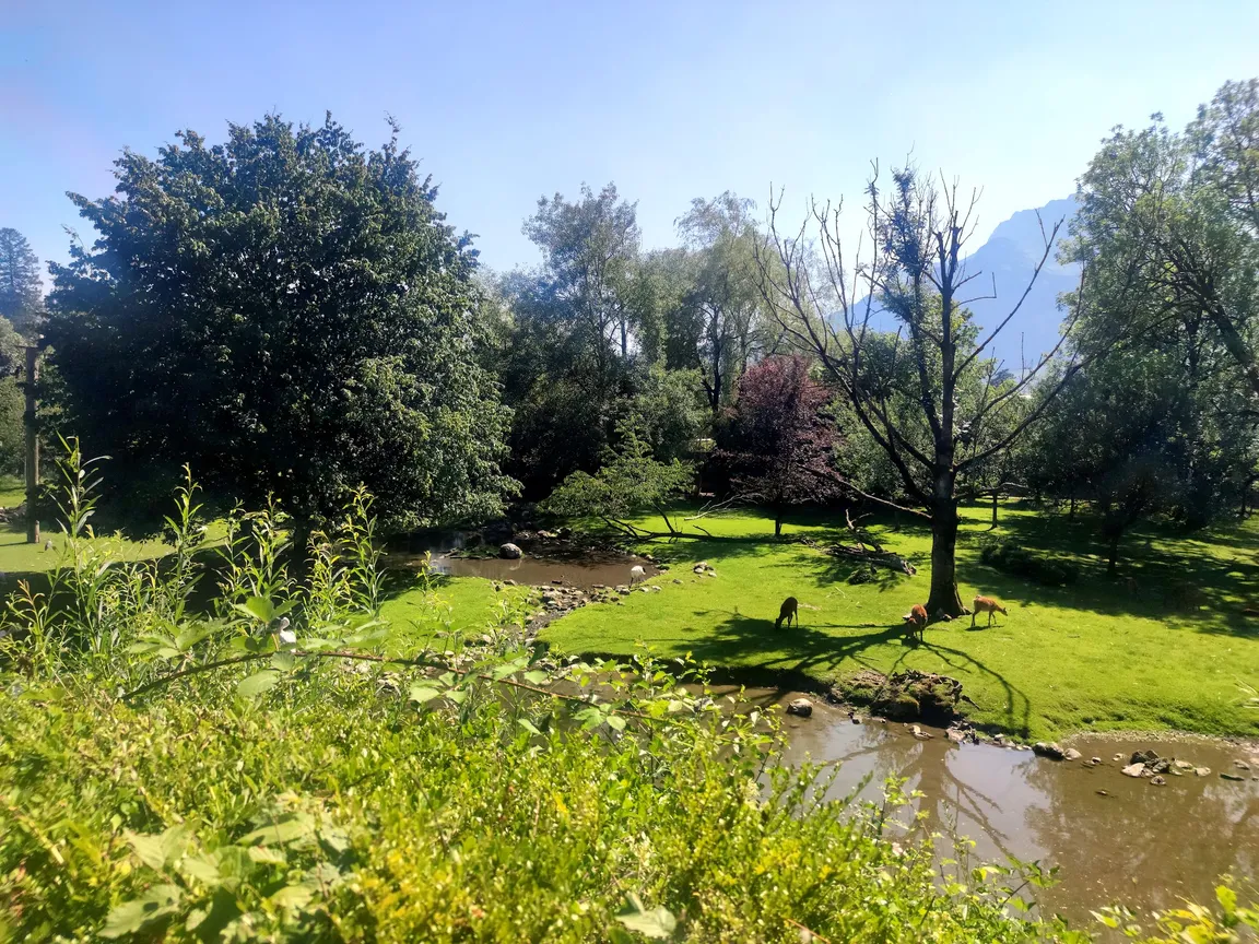 Salzburg Zoo Hellbrunn