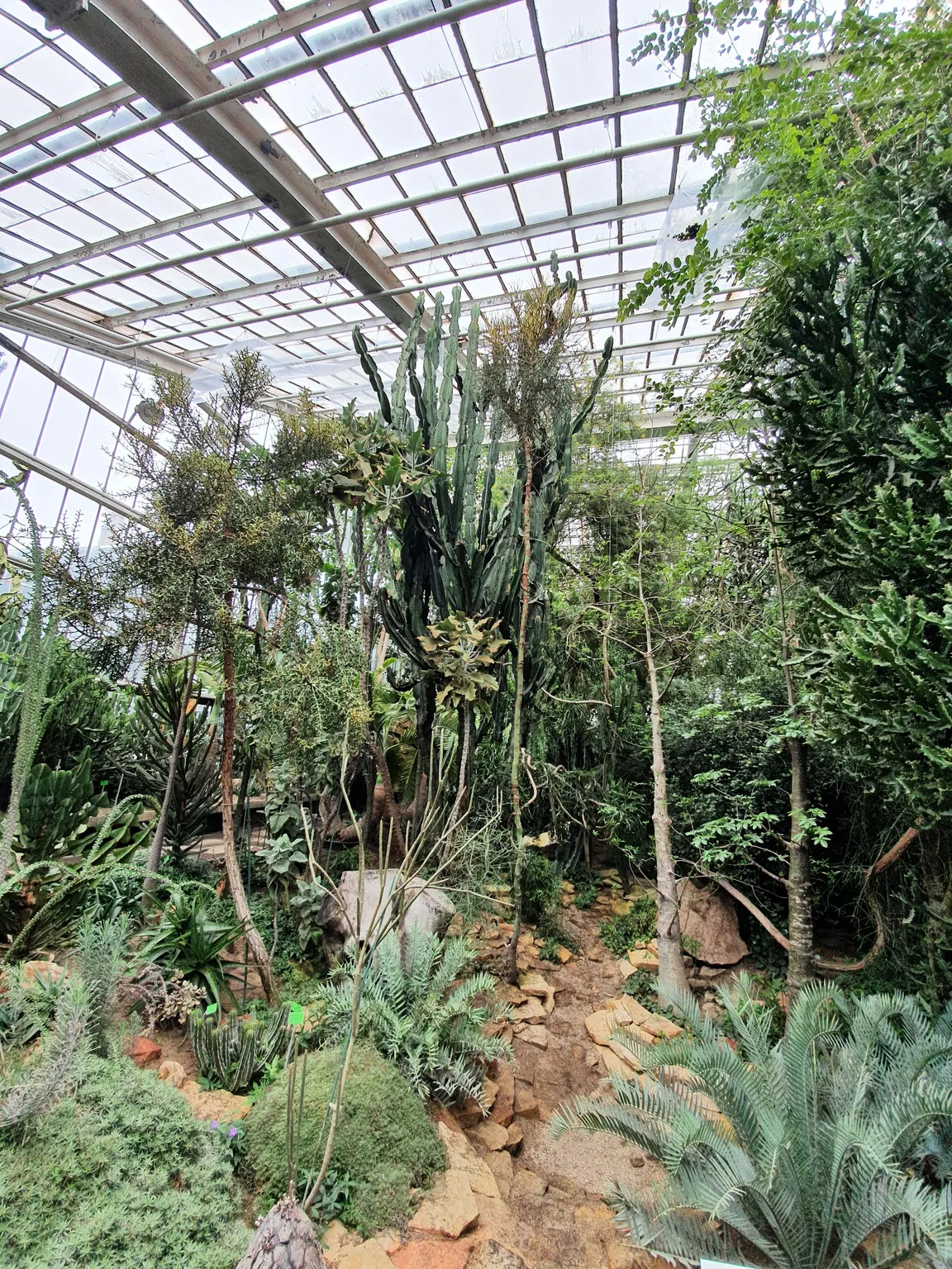 Palmiarnia Poznańska
