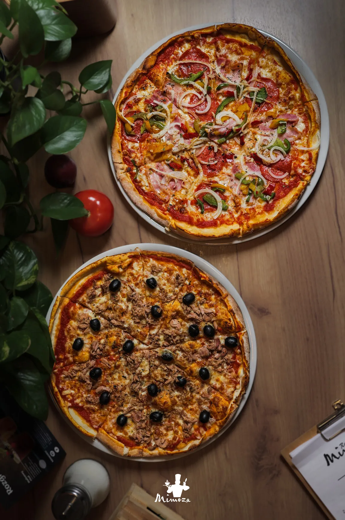 Restauracja Mimoza Caffee Pizza Music Pub