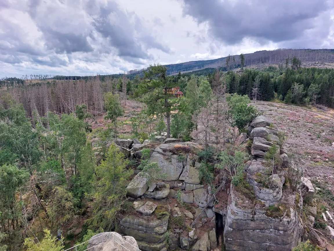 Ottofelsen