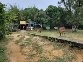 Cheung Sheung Campsite