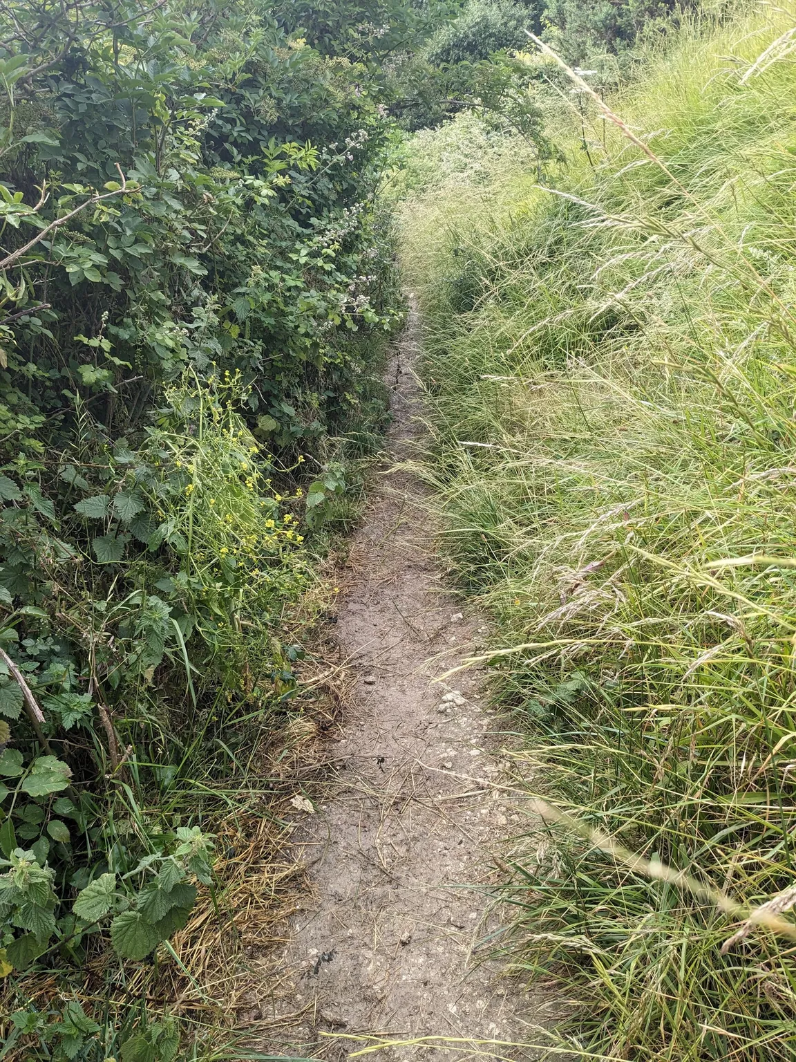South coast path