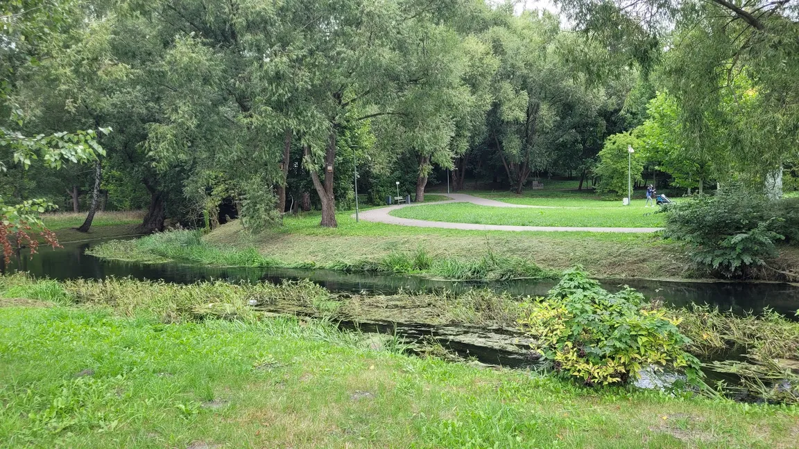 Park centralny
