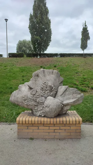 Wybieg Dla Psów