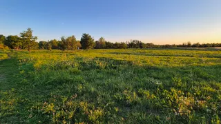 Wybieg dla psów