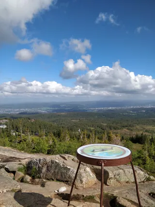 Gråkallen