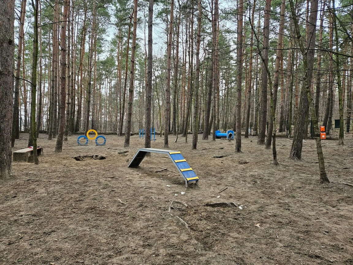 Wybieg dla psów