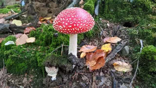Naturpark Barnim