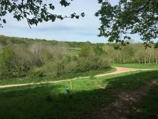 Mincinglake Valley Park