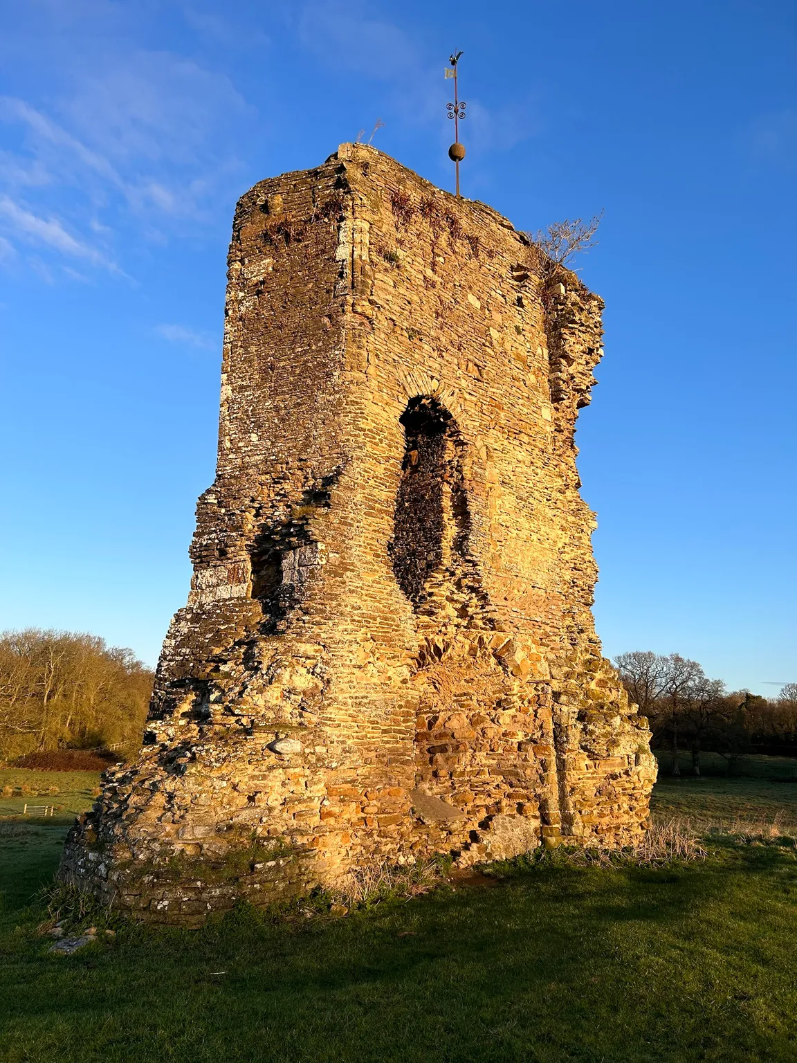 Knepp Castle