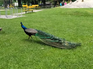 Petr Bezruč Gardens