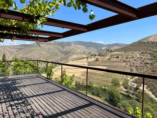 Quinta de Nápoles (Niepoort wines)