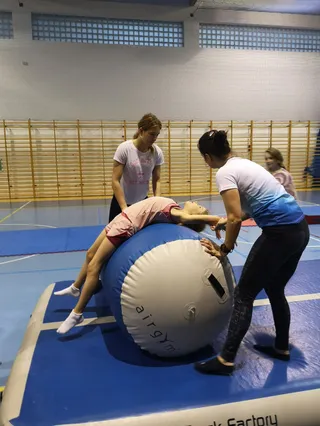 AcroFamily