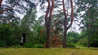 Pomnik ku czci ofiar hitleryzmu