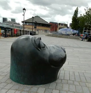The Big Fish