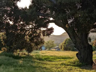 Park stanowy Malibu Creek