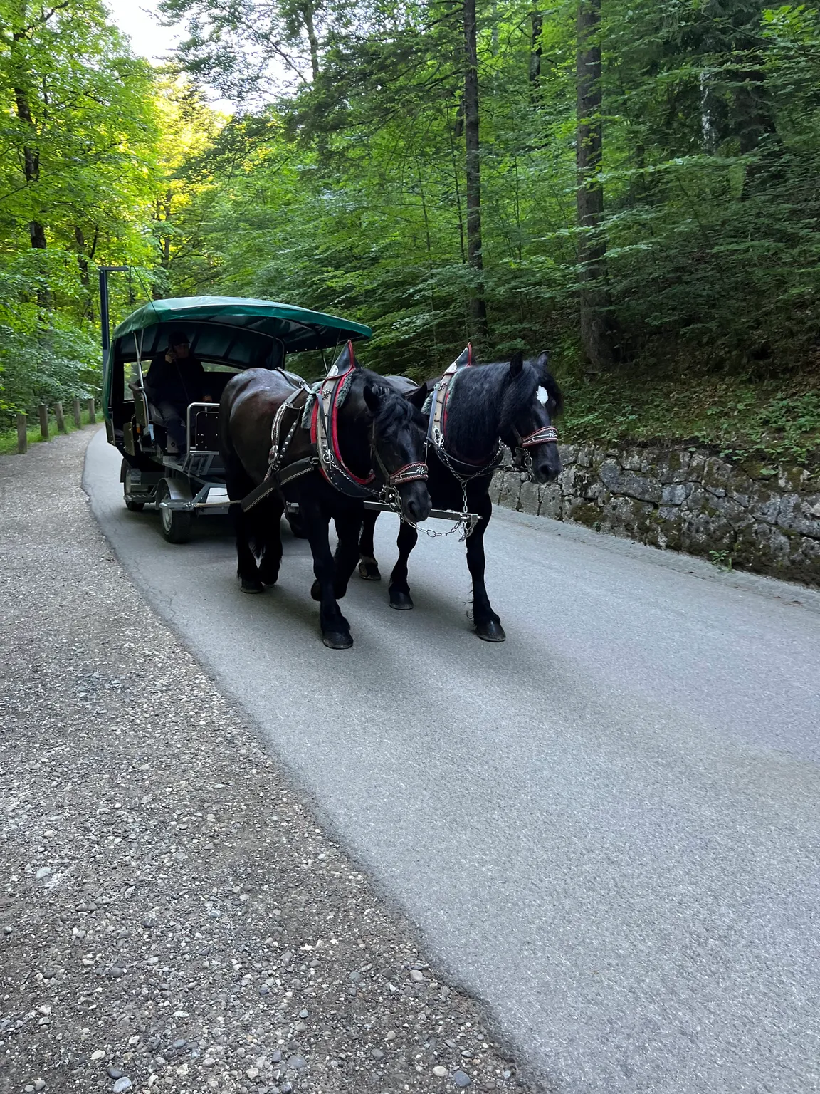 Road to the castle Neuschwanstein