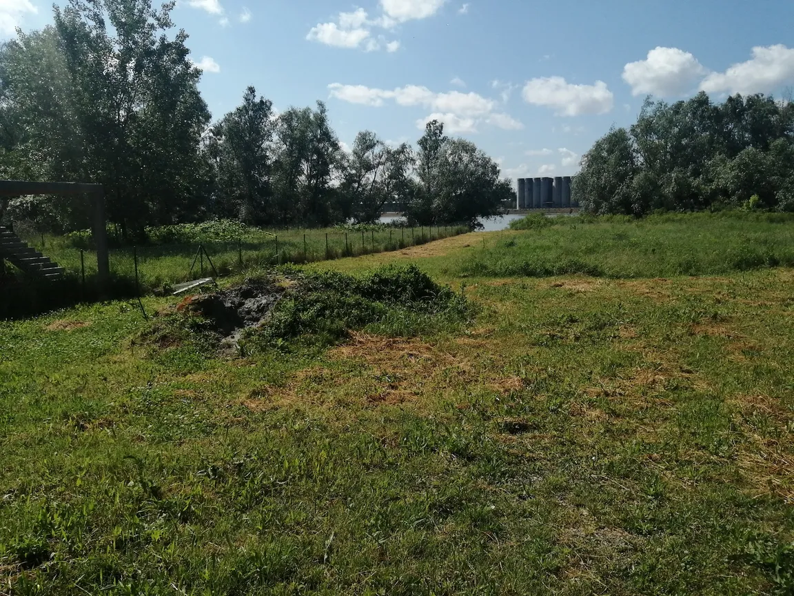 Kamp Saran