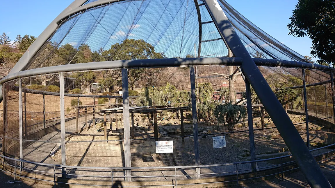 Osaki Peacock Nature Park