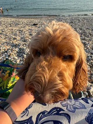East Wittering Beach