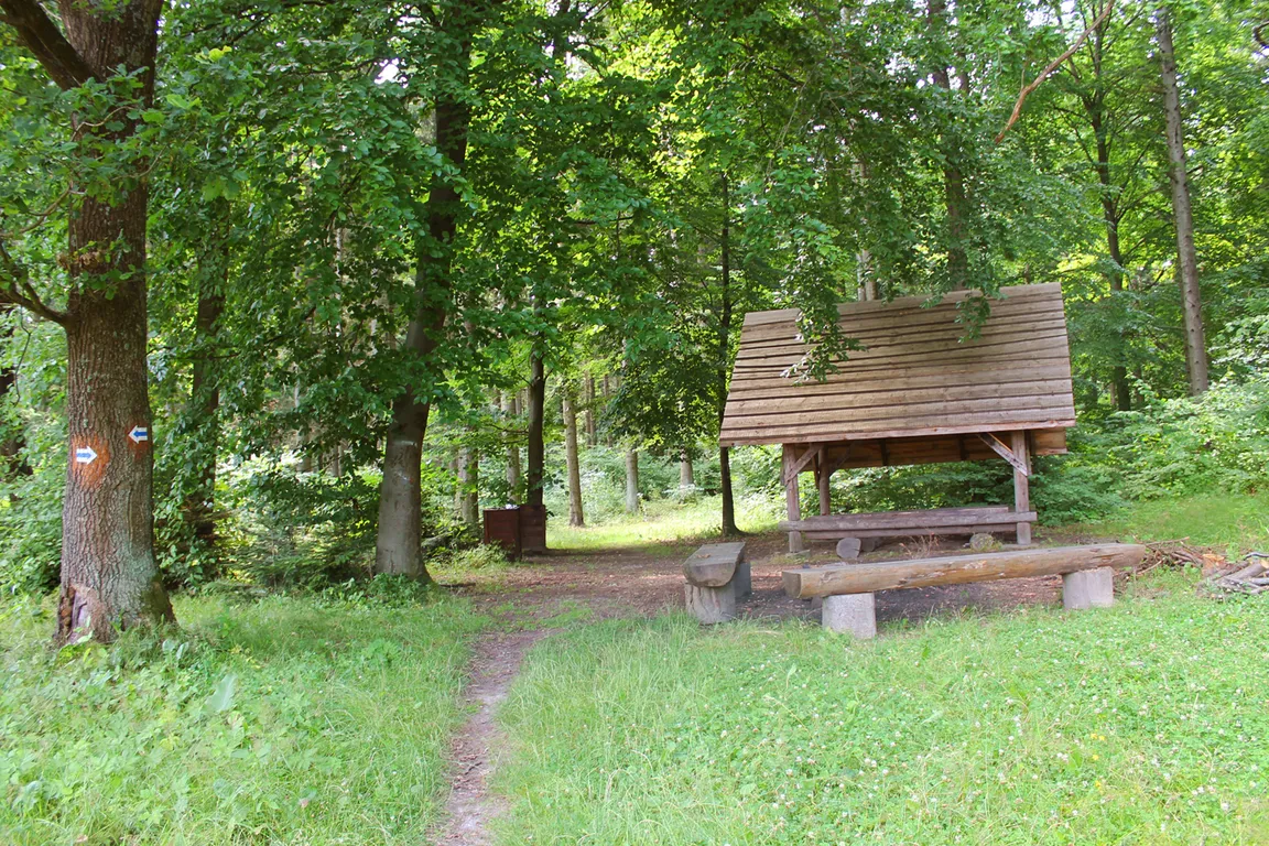 Rezerwat przyrody Góra Sieradowska
