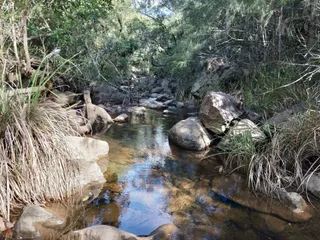Archer camping area, D'Aguilar National Park